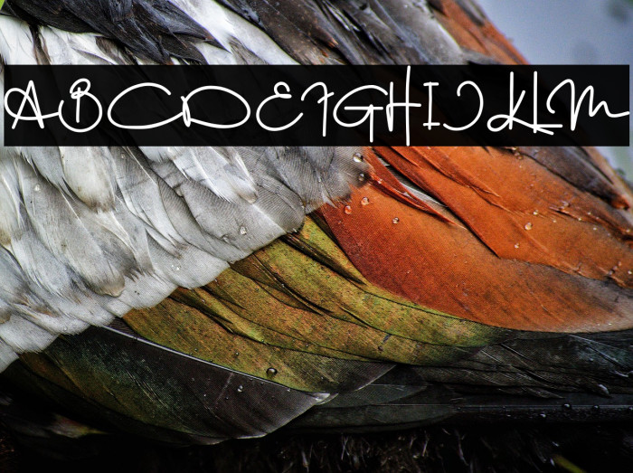 The Great Wall 2 Example 1