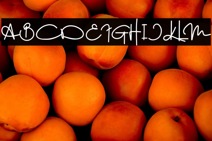 The Great Wall 2 Example 3