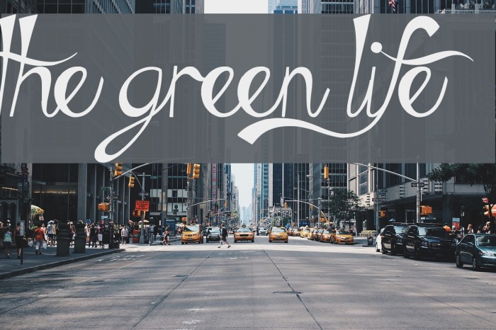 The Green Life Font examples