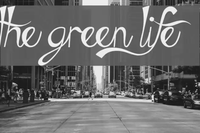 The Green Life フォント examples