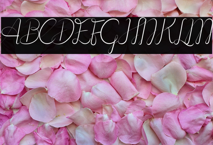 The Greetings Example 2