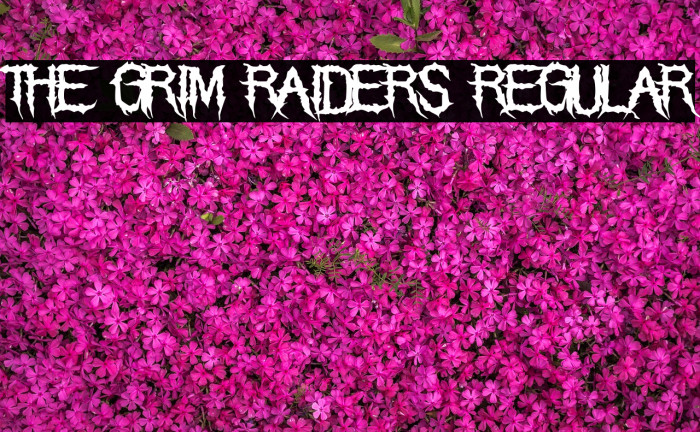 The Grim Raiders Regular Font examples