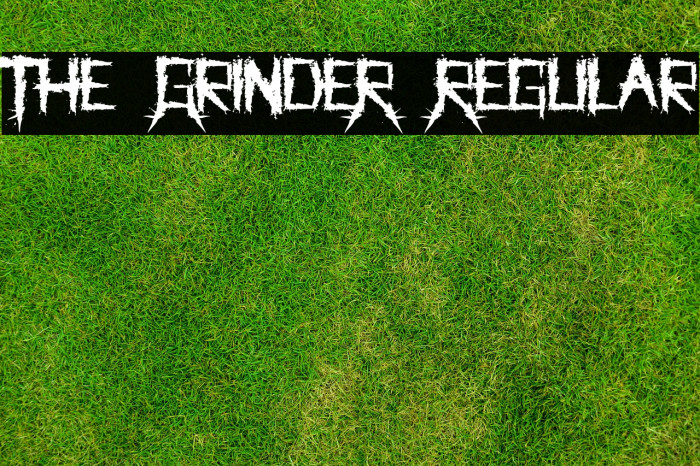 The GrindeR Regular Font examples