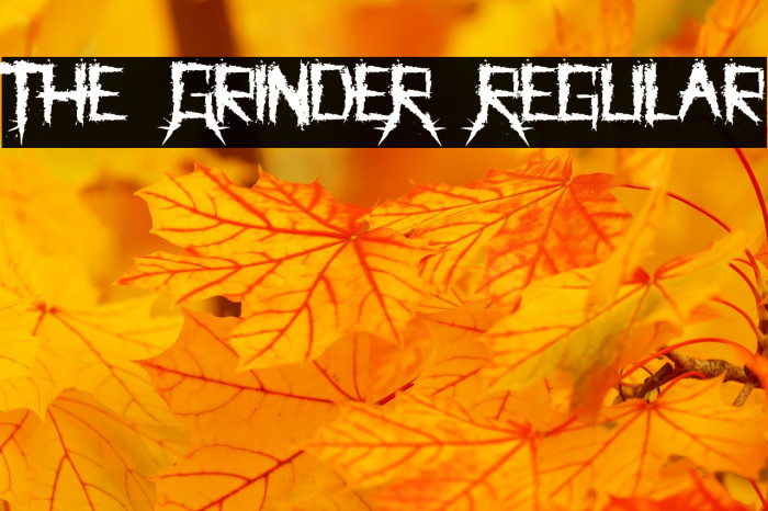 The GrindeR Regular Font examples