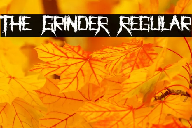 The GrindeR Regular Example 2