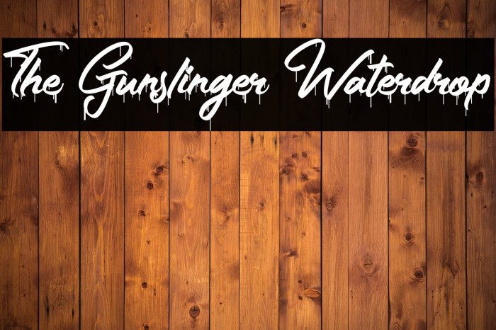 The Gunslinger Waterdrop Example 1