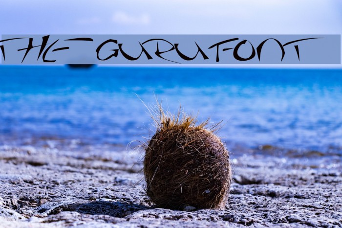 The Guru Font Font examples