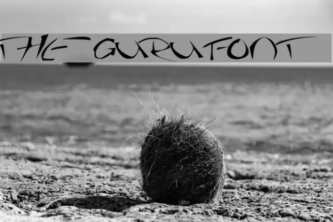 The Guru Font Fuentes examples