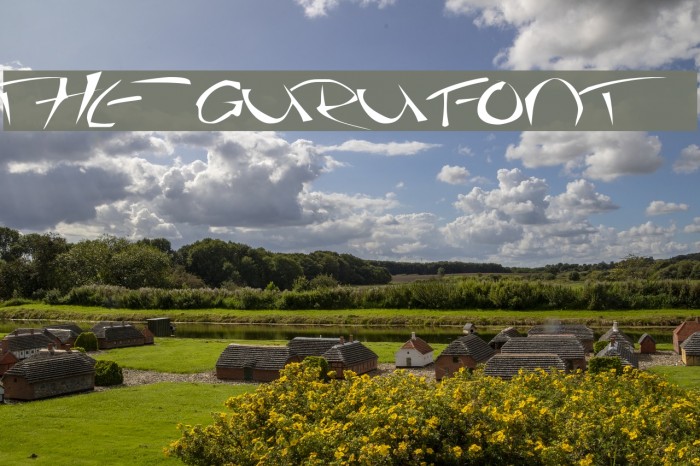 The Guru Font Font examples