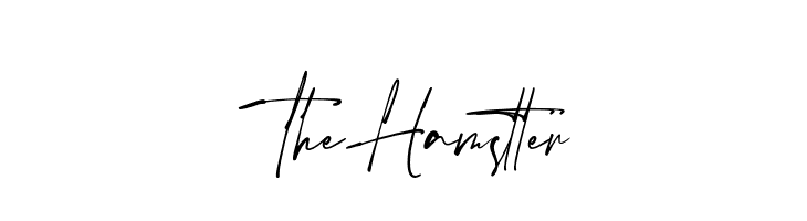 The Hamstter  Скачать бесплатные шрифты
