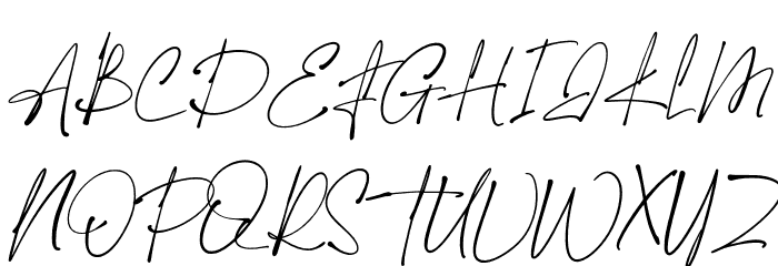 The Hamstter Font Litere mari