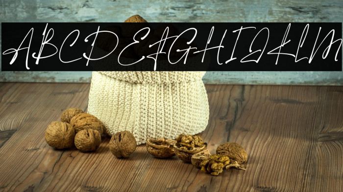 The Hamstter Example 2