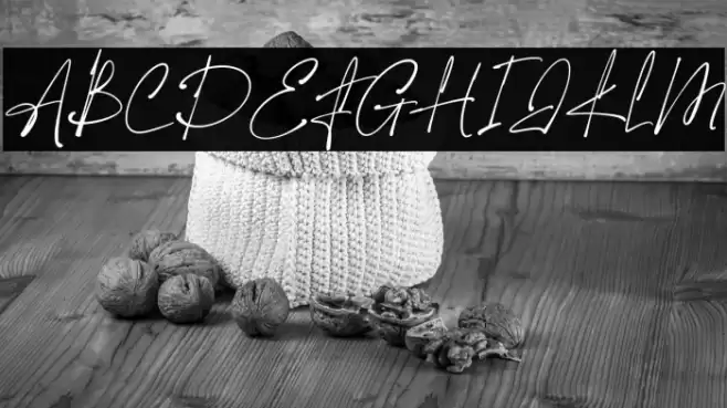 The Hamstter Font examples