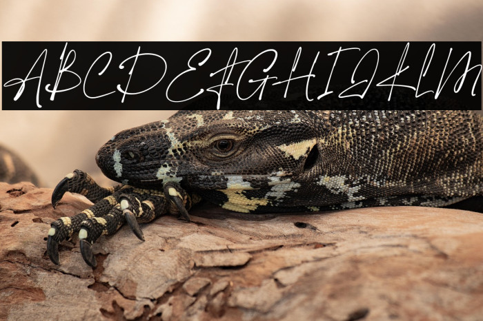 The Hamstter Example 3