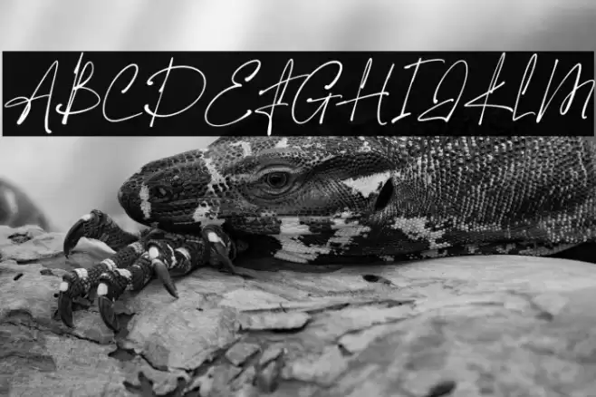 The Hamstter Font examples