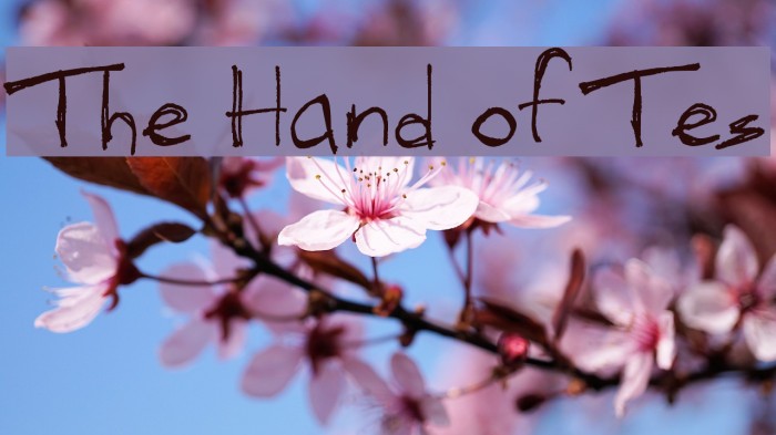 The Hand of Tes Font examples