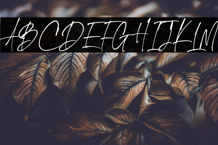 The Handnature Example 2