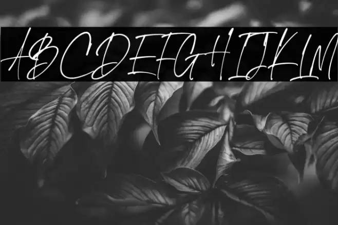 The Handnature Font examples