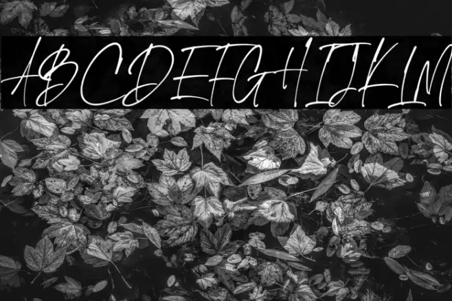 The Handnature Font examples