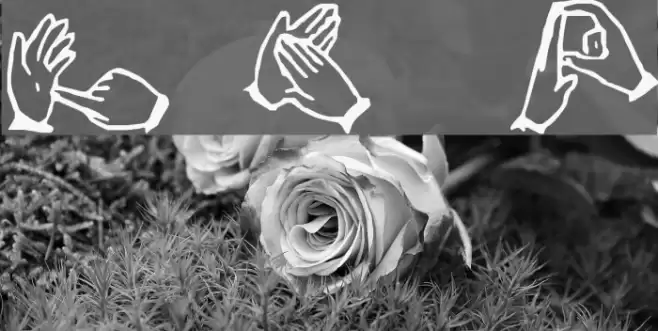 The Hands of Deaf Font examples