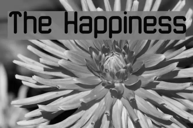The Happiness Font examples