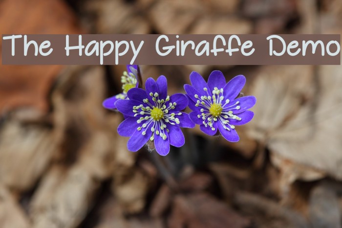 The Happy Giraffe Demo Example 2