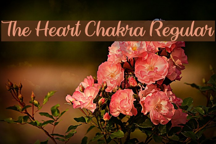 The Heart Chakra Regular Font examples