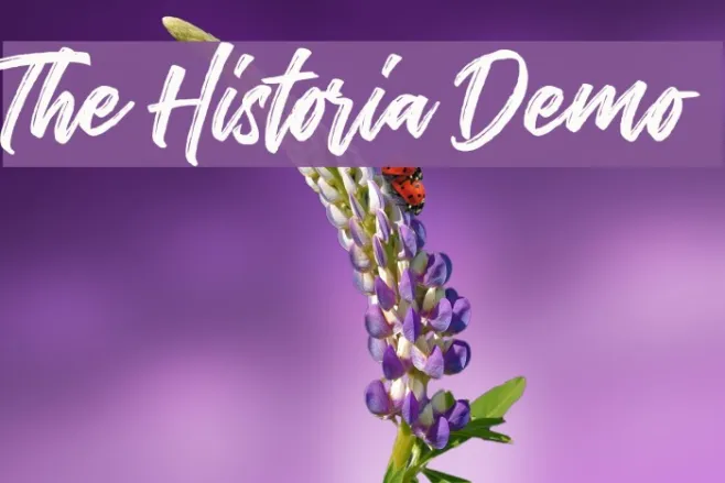 The Historia Demo Example 1