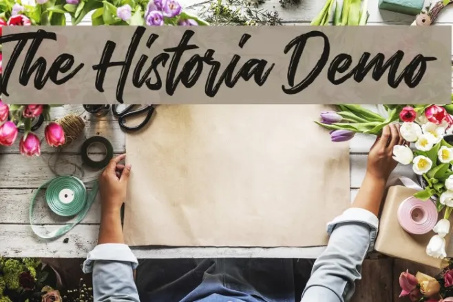 The Historia Demo Example 2