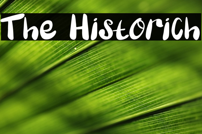 The Historich Example 1