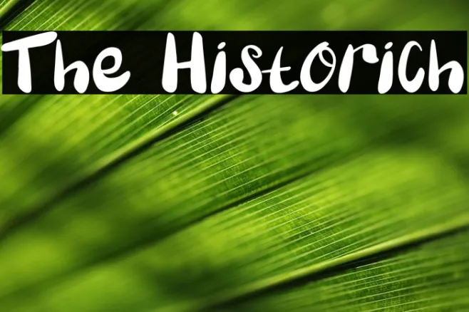 The Historich Example 1