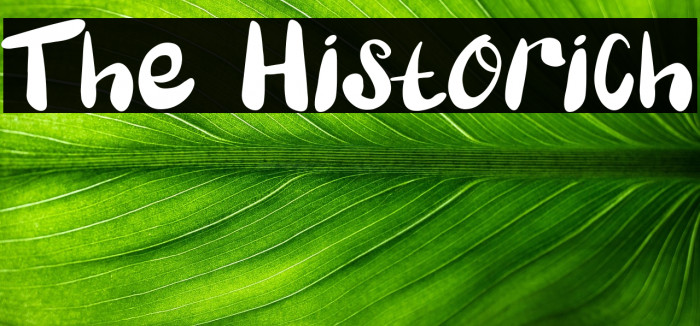 The Historich Example 2