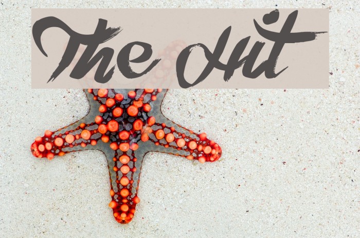 The Hit Font examples