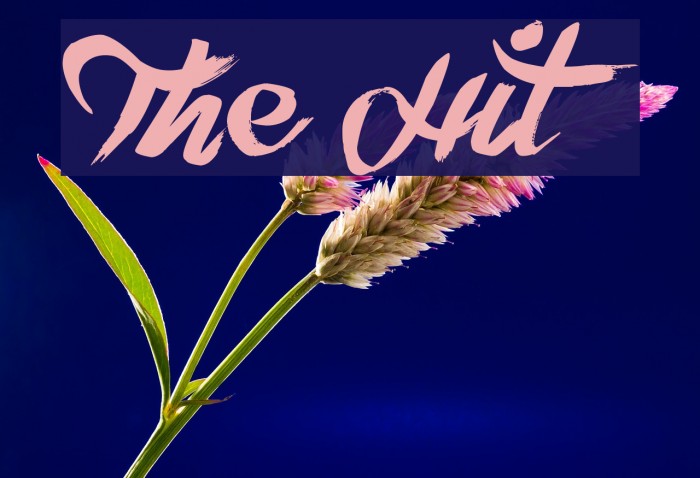 The Hit Font examples