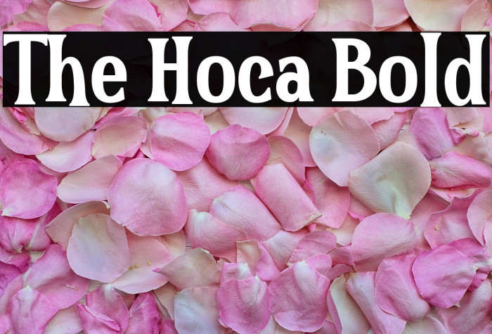 The Hoca Bold Example 1