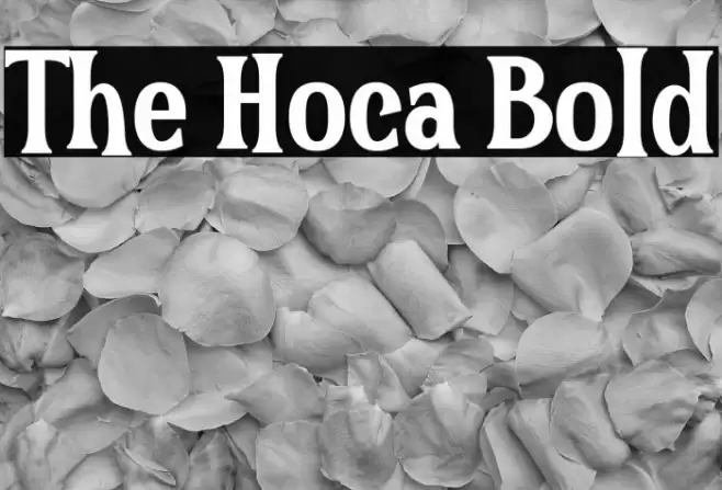 The Hoca Bold Font examples