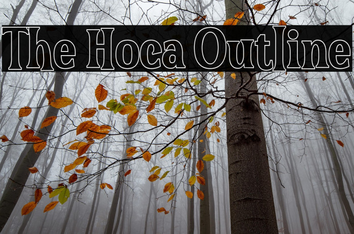 The Hoca Outline Example 3