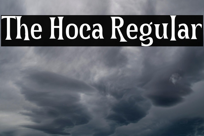 The Hoca Regular Example 2