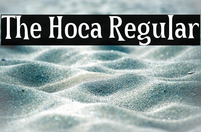 The Hoca Regular Example 3