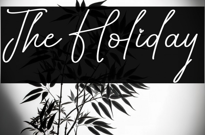 The Holiday Example 3