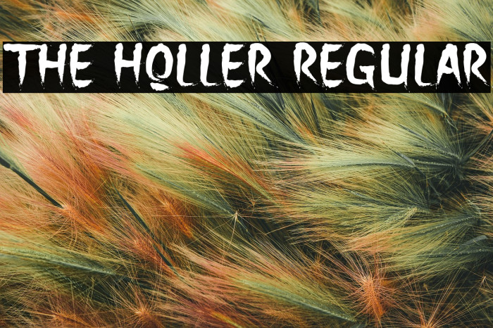 The Holler Regular Example 3