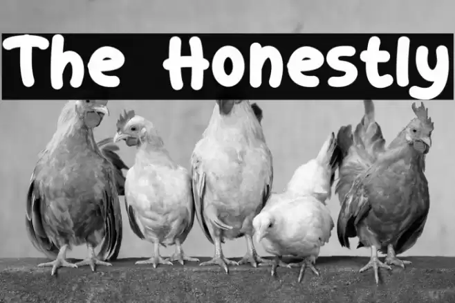 The Honestly Font examples