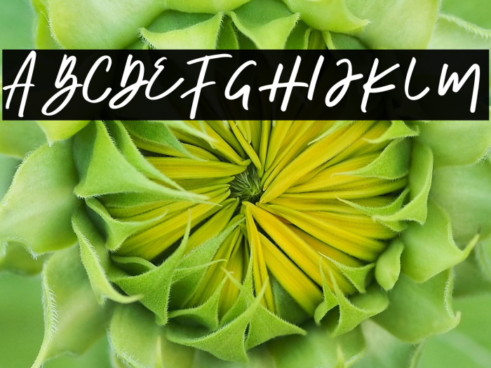 The Horizontal Example 3