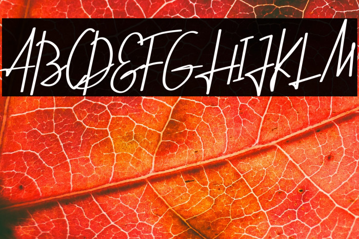 The Horsetto Example 2