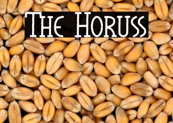 The Horuss Example 1
