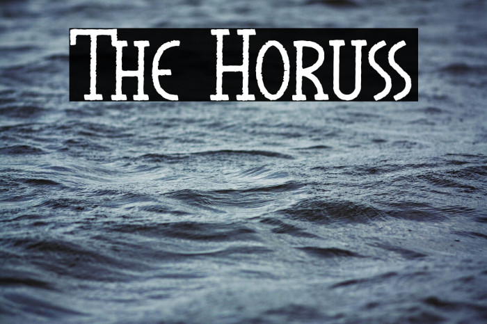 The Horuss Example 2