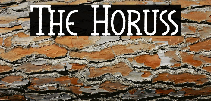 The Horuss Example 3