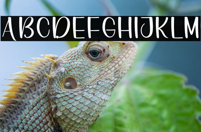 The Hospital Example 2