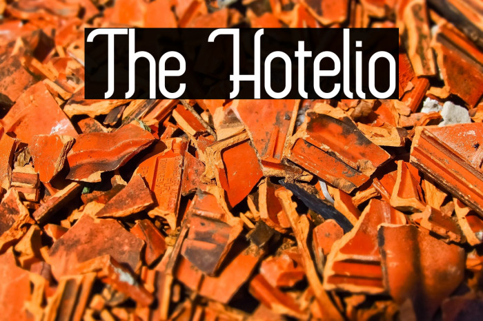 The Hotelio Example 1