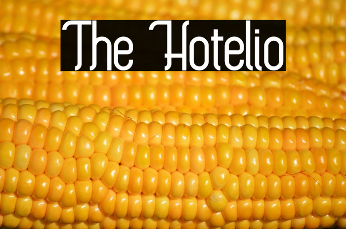 The Hotelio Example 2